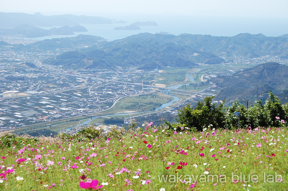 鷲ヶ峰コスモスパーク 眺望 眺め 絶景