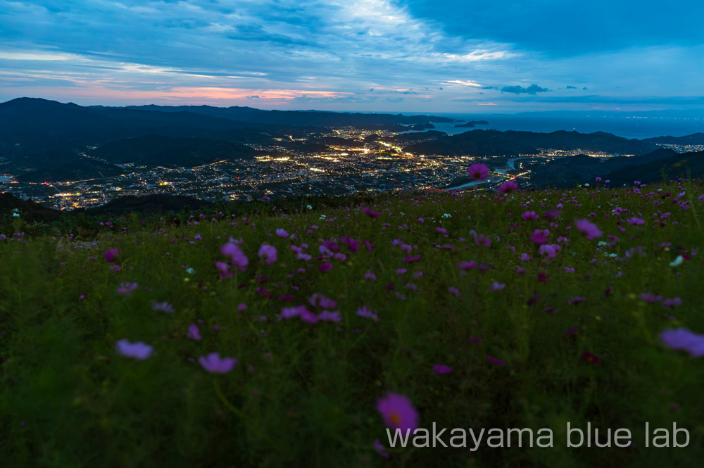 鷲ヶ峰コスモスパーク 夜景スポット