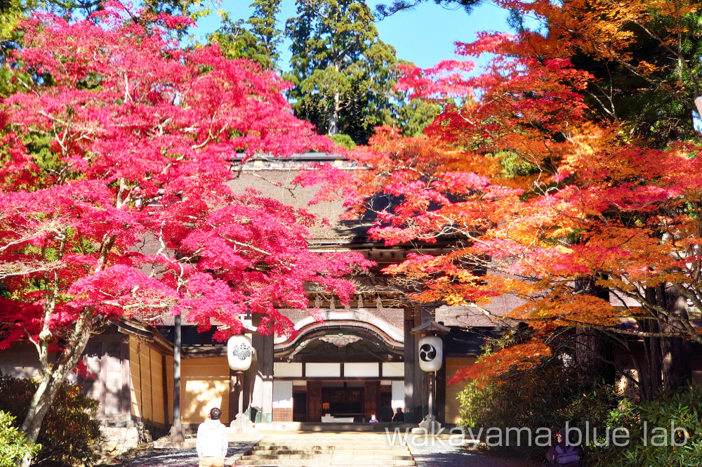 高野山 紅葉 金剛峯寺 正門　写真