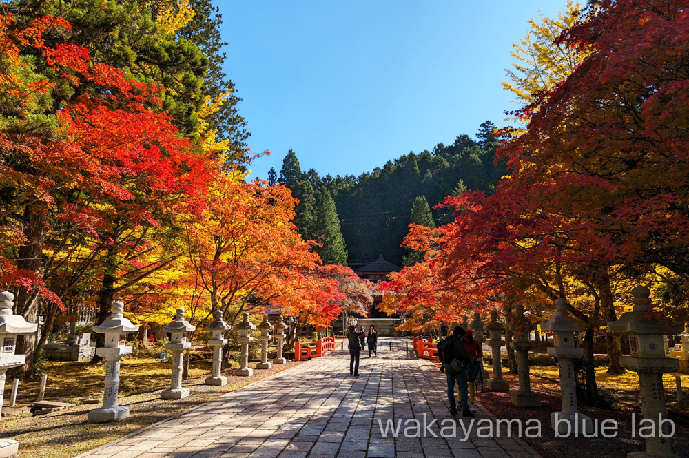 高野山 紅葉 奥の院