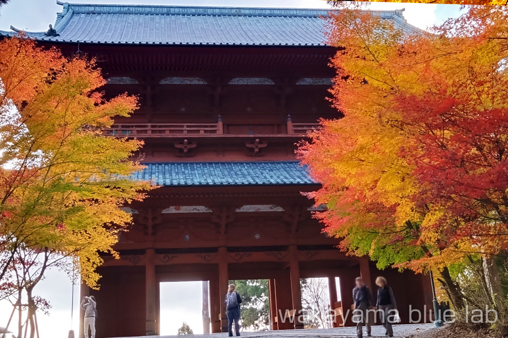 高野山 紅葉 大門