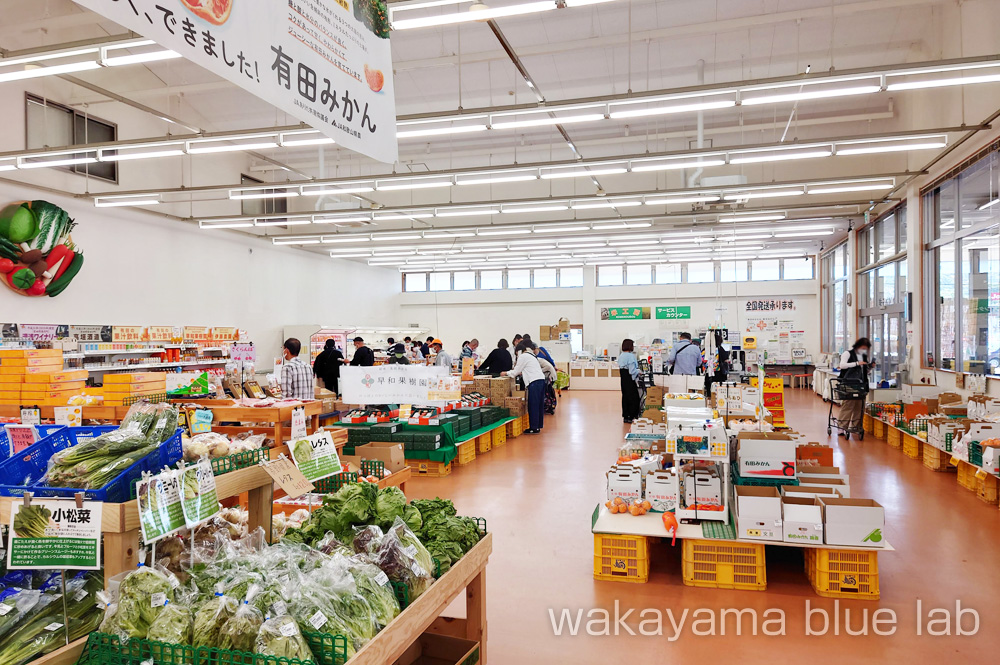 有田みかん 直売所 ありだっこ