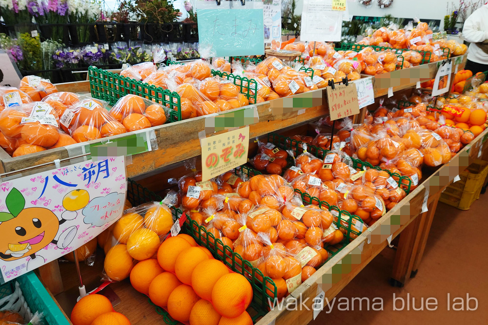 有田みかん 直売所 ありだっこ