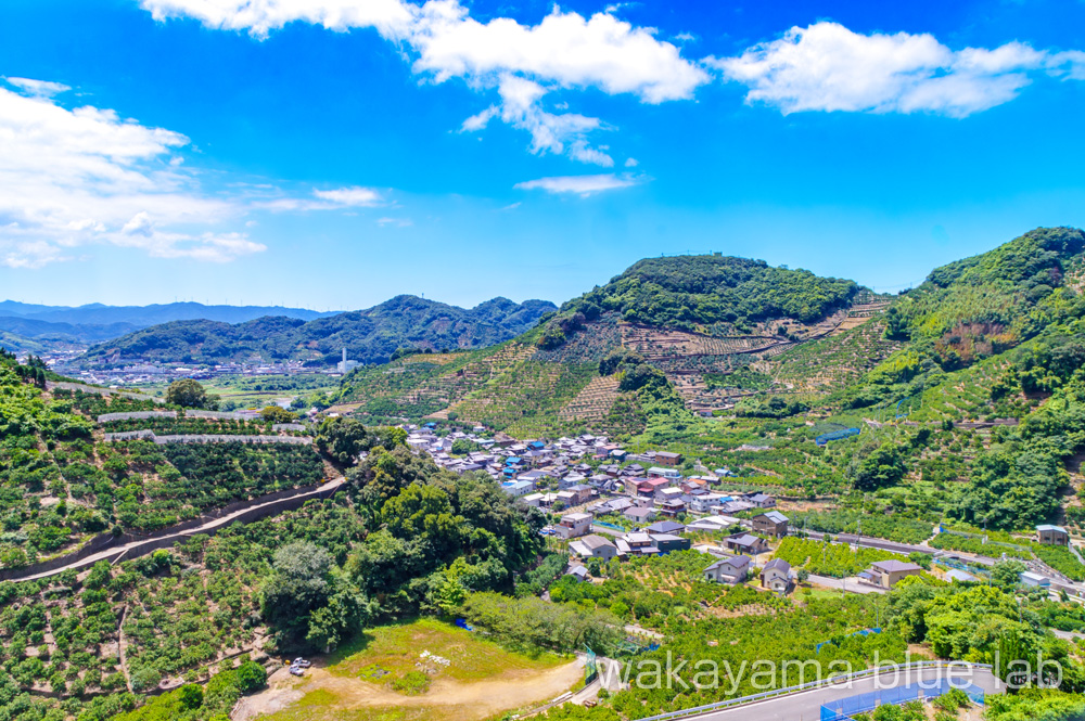 有田みかん 有田川町 有田市 景色