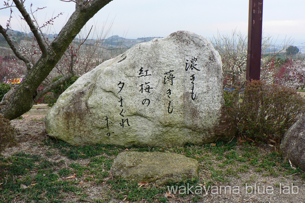 南部梅林 和歌山県みなべ町