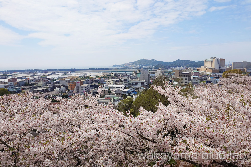 紀三井寺 景色