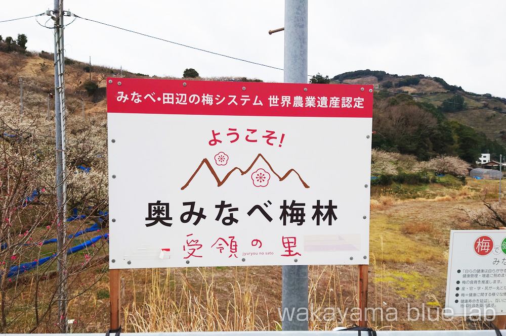 奥みなべ梅林 受領の里 世界農業遺産