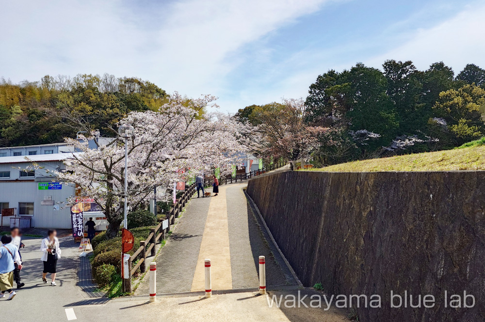 亀池公園