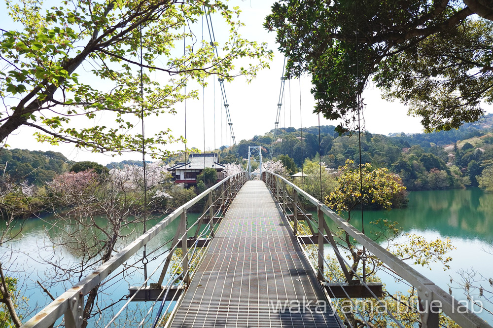 亀池公園 つり橋