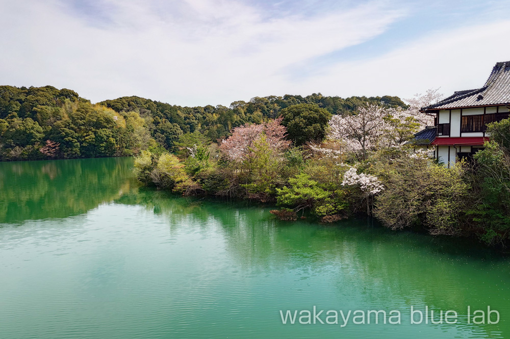 亀池公園 双青閣の周辺