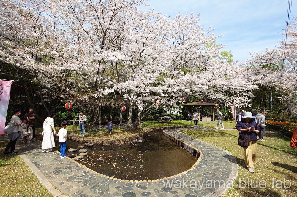 亀池公園 遊歩道