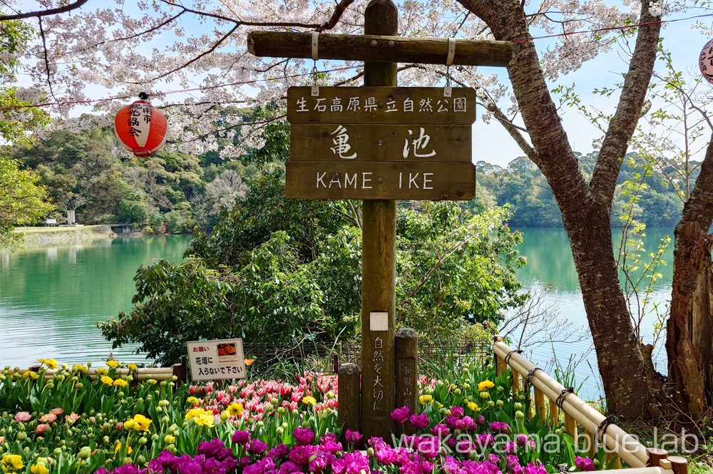 亀池公園 生石高原県立自然公園