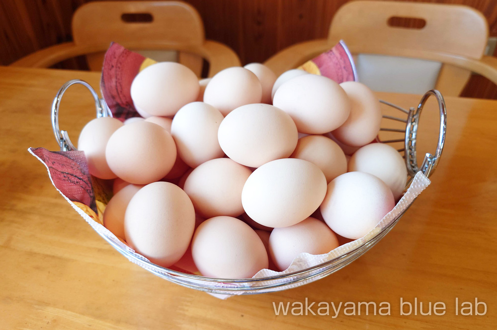 卵庵 はしたま たまごは5個まで