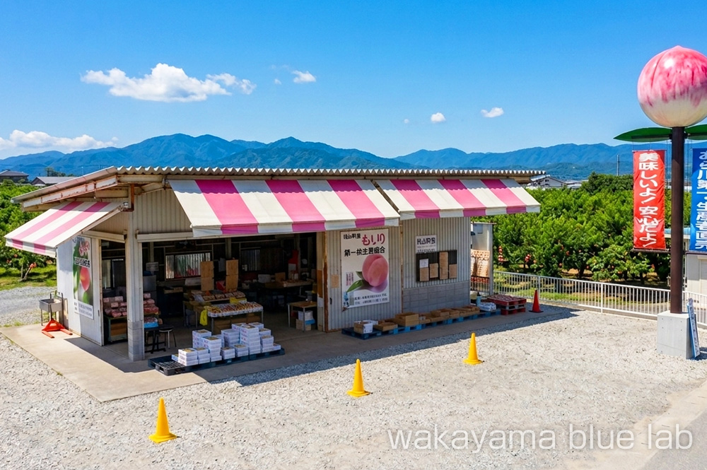 あら川の桃 おすすめ 直売所
