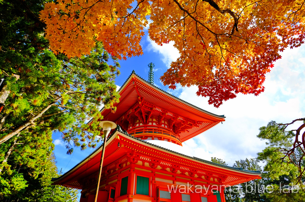 高野山 紅葉 壇上伽藍